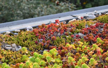 the cost of West Melbury green roof installation