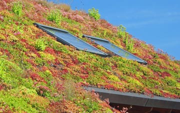 West Melbury living roof systems
