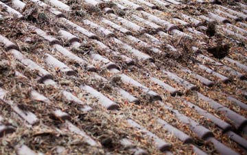 West Melbury roof cleaning companies